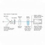Spectrophotometer: Types, Diagram, Working Principle, & Uses