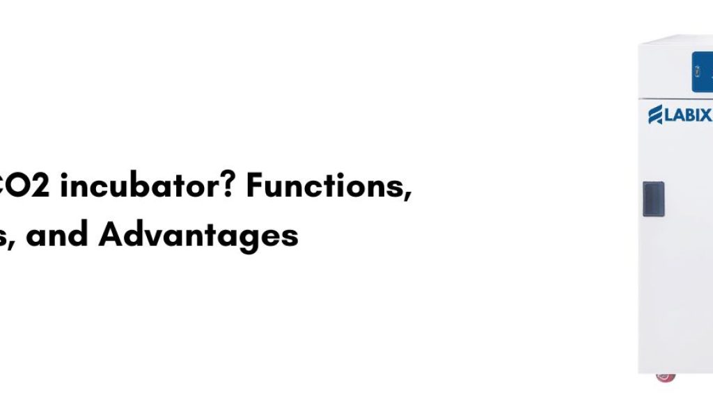 CO2 incubator